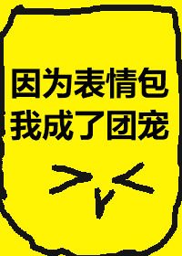 《因为表情包我成了团宠》
