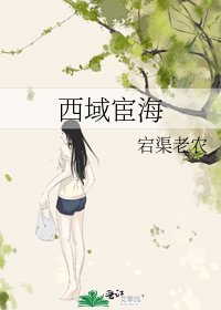 西域宦海
