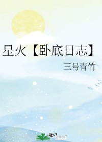 《星火【卧底日志】》