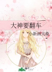 《大神要翻车》