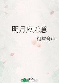 明月应无意