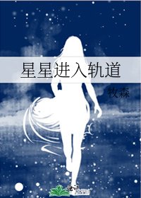 《星星进入轨道》