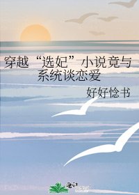 穿越“选妃”竟与系统谈恋爱