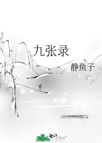 《九张录》