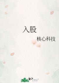 入股