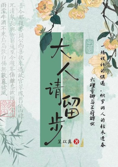 《大人,请留步》