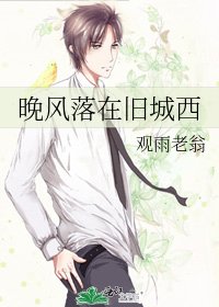 晚风落在旧城西