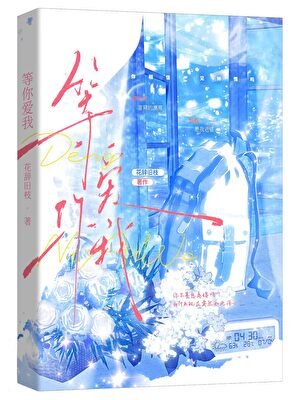 《等你爱我》