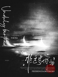 《非正当停泊》