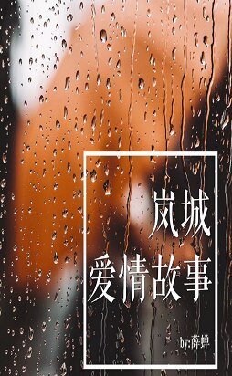 岚城爱情故事/灰姑娘成长报告