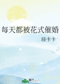 每天都被花式催婚