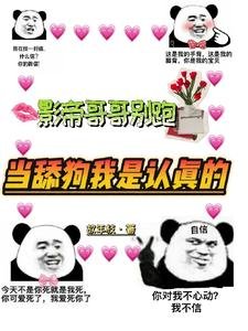 《影帝哥哥别跑,当舔狗我是认真的》