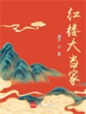 《红楼大当家》