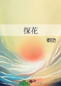 《探花》