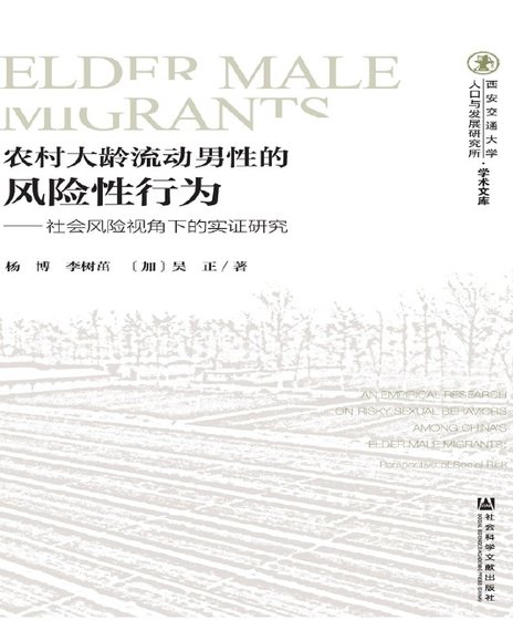 农村大龄流动男性的风险性行为：社会风险视角下的实证研究（出版书）
