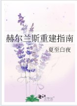 《赫尔兰斯重建指南》