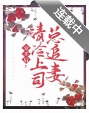 分手后，清冷上司总追妻