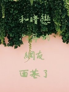 《和暗恋六年的网友面基了》