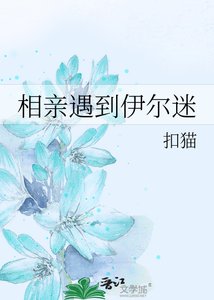 《(BG-猎人同人)相亲遇到伊尔迷》