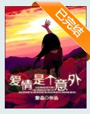 爱情是个意外(高干)