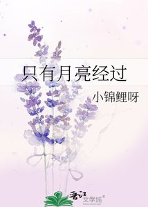 《只有月亮经过》