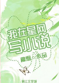 我在星网写小说
