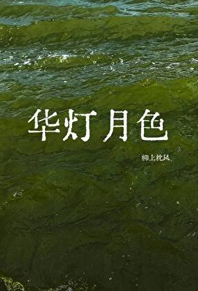 《华灯月色》