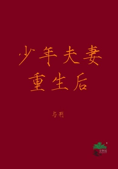 《少年夫妻重生后》