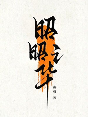 昭昭之华