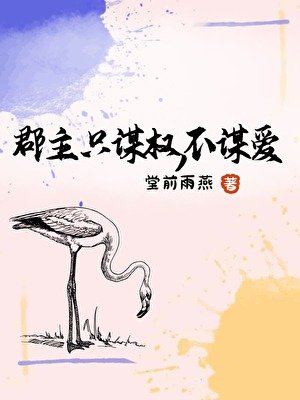 郡主只谋权，不谋爱