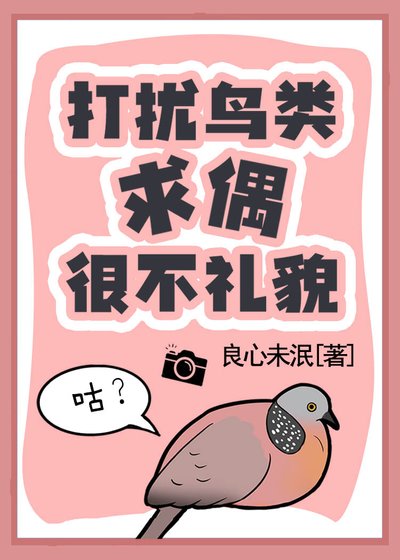 打扰鸟类求偶很不礼貌！