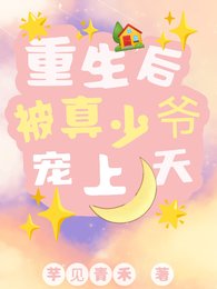 重生后，被真少爷宠上天
