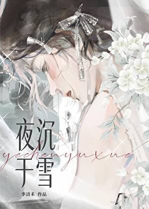 夜沉于雪