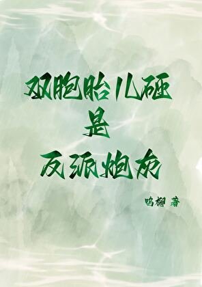 《双胞胎儿砸是反派炮灰》