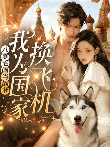 八零毛国当倒爷，我为国家换飞机