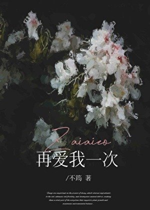 再爱我一次