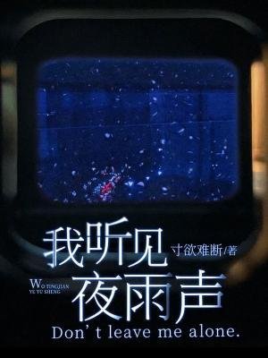 我听见夜雨声