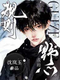 他的规则我的野心