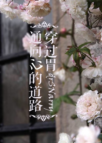 （BL/HP同人）hp通向心的道路穿过胃