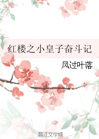 （BG/红楼同人）红楼之小皇子奋斗记