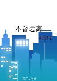 不曾远离/残缺的拼图