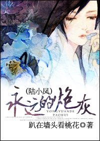（陆小凤同人）永远的炮灰