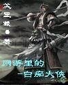 网游里的白痴侠客（又名：网游里的白痴大侠）