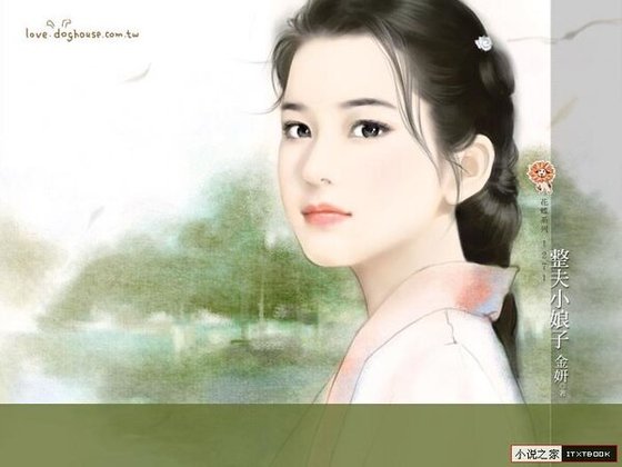 整夫小娘子（娘子出招之一）
