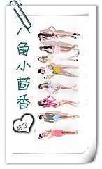 八角小茴香（GL）