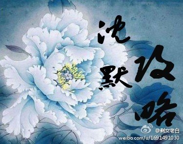 沉默功略