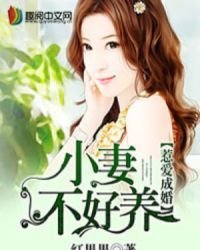 《惹爱成婚:小妻不好养》