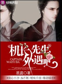 机长先生,外遇吧