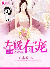 《重生之左暖右爱/重生之左暖右宠》