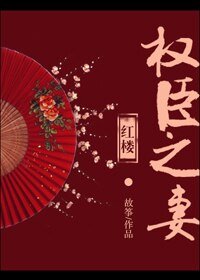 （BG/红楼同人）[红楼]权臣之妻